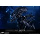 Aliens Movie Masterpiece Action Figure 1/6 Alien Warrior 35 cm